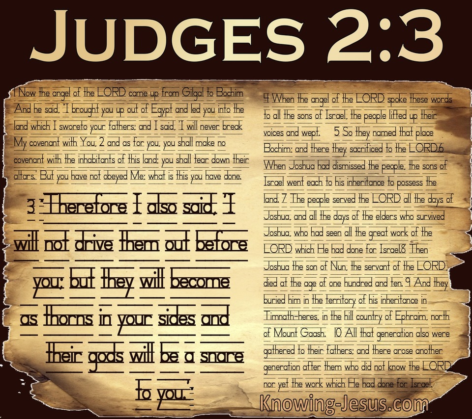 Judges 2:3 A Thorn In Your Side (beige)